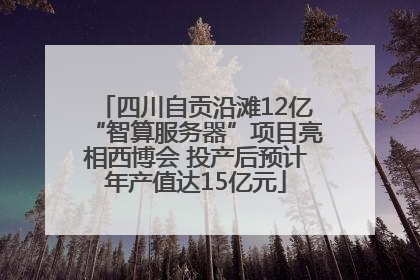 四川自贡沿滩12亿“智算服务器”项目亮相西博会 投产后预计年产值达15亿元