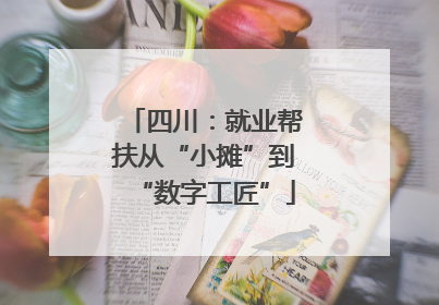 四川：就业帮扶从“小摊”到“数字工匠”