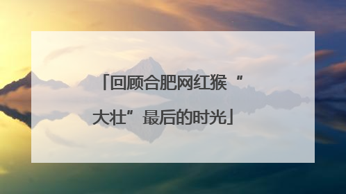 回顾合肥网红猴“大壮”最后的时光