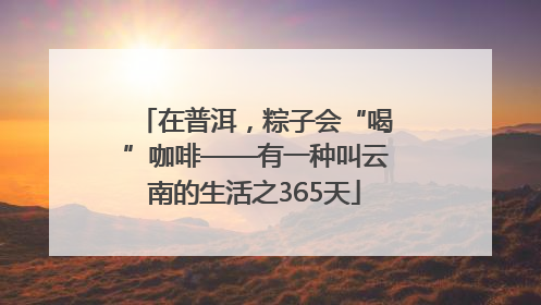 在普洱，粽子会“喝”咖啡——有一种叫云南的生活之365天