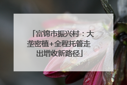 富锦市振兴村：大垄密植+全程托管走出增收新路径