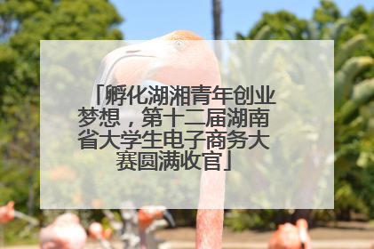 孵化湖湘青年创业梦想，第十二届湖南省大学生电子商务大赛圆满收官