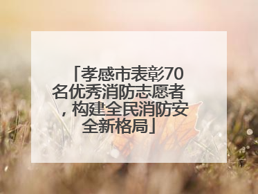 孝感市表彰70名优秀消防志愿者，构建全民消防安全新格局