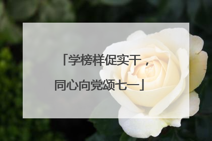 学榜样促实干，同心向党颂七一