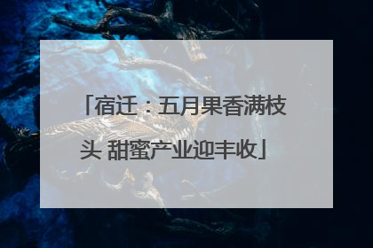 宿迁：五月果香满枝头 甜蜜产业迎丰收