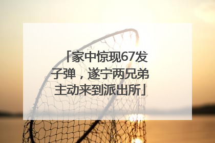 家中惊现67发子弹，遂宁两兄弟主动来到派出所