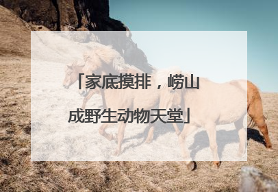 家底摸排，崂山成野生动物天堂