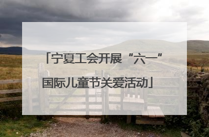 宁夏工会开展“六一”国际儿童节关爱活动