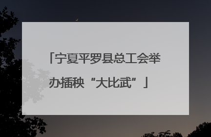 宁夏平罗县总工会举办插秧“大比武”