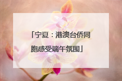 宁夏：港澳台侨同胞感受端午氛围