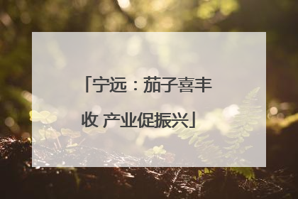 宁远：茄子喜丰收 产业促振兴