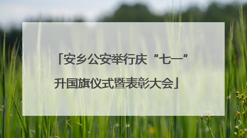 安乡公安举行庆“七一”升国旗仪式暨表彰大会