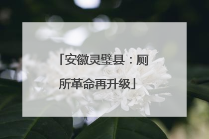 安徽灵璧县：厕所革命再升级