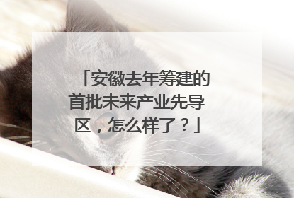 安徽去年筹建的首批未来产业先导区，怎么样了？