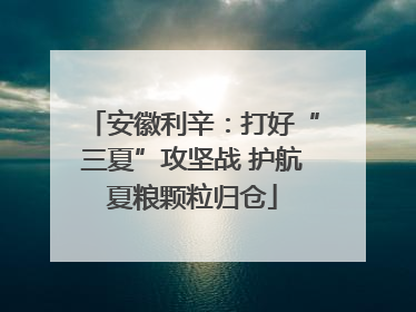 安徽利辛：打好“三夏”攻坚战 护航夏粮颗粒归仓