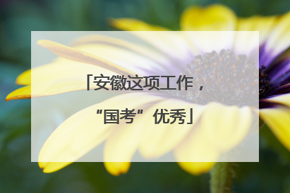 安徽这项工作，“国考”优秀