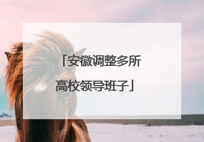 安徽调整多所高校领导班子