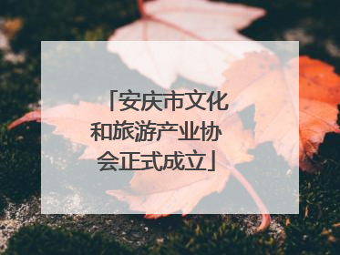 安庆市文化和旅游产业协会正式成立
