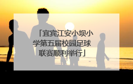 宜宾江安小坝小学第五届校园足球联赛顺利举行