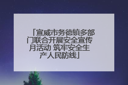 宣威市务德镇多部门联合开展安全宣传月活动 筑牢安全生产人民防线