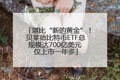 堪比“新的黄金”！贝莱德比特币ETF总规模达700亿美元 仅上市一年多