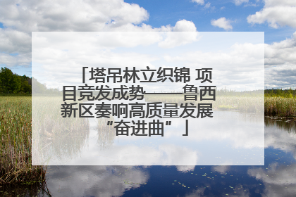 塔吊林立织锦 项目竞发成势——鲁西新区奏响高质量发展“奋进曲”