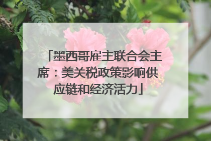 墨西哥雇主联合会主席：美关税政策影响供应链和经济活力