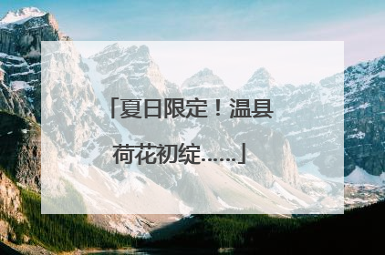 夏日限定！温县荷花初绽……