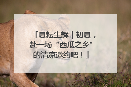 夏耘生辉｜初夏，赴一场“西瓜之乡”的清凉邀约吧！