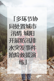 多环节协同处置城市汛情 城阳开展防汛排水突发事件抢险救援演练