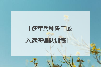 多军兵种骨干嵌入远海编队训练
