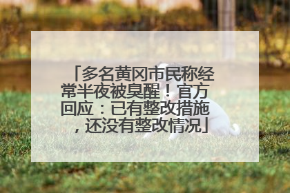 多名黄冈市民称经常半夜被臭醒！官方回应：已有整改措施，还没有整改情况