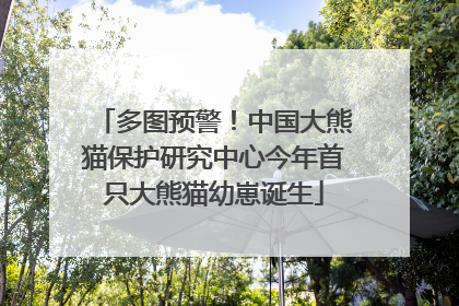 多图预警！中国大熊猫保护研究中心今年首只大熊猫幼崽诞生