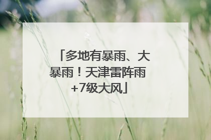 多地有暴雨、大暴雨！天津雷阵雨+7级大风