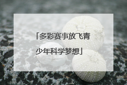 多彩赛事放飞青少年科学梦想