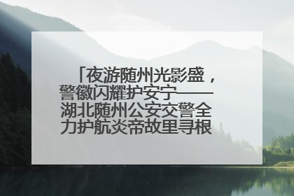 夜游随州光影盛，警徽闪耀护安宁——湖北随州公安交警全力护航炎帝故里寻根节夜游活动侧记