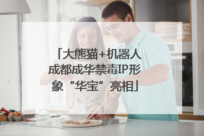 大熊猫+机器人 成都成华禁毒IP形象“华宝”亮相