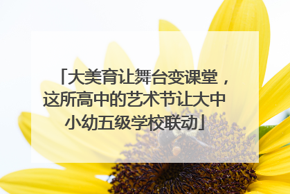 大美育让舞台变课堂，这所高中的艺术节让大中小幼五级学校联动