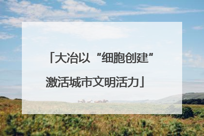 大冶以“细胞创建”激活城市文明活力
