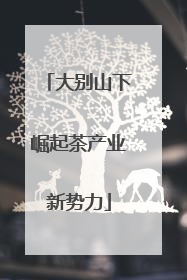 大别山下崛起茶产业新势力