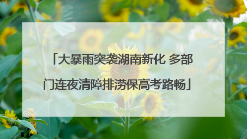 大暴雨突袭湖南新化 多部门连夜清障排涝保高考路畅
