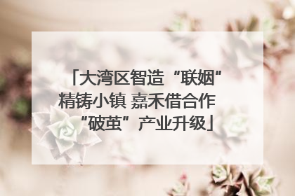 大湾区智造“联姻”精铸小镇 嘉禾借合作“破茧”产业升级