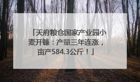 天府粮仓国家产业园小麦开镰：产量三年连涨，亩产584.3公斤！