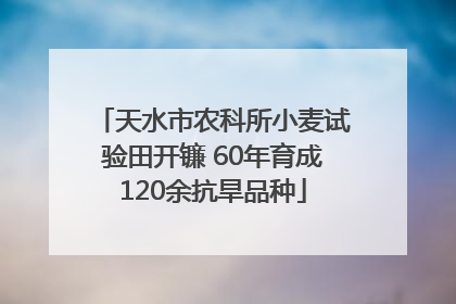 天水市农科所小麦试验田开镰 60年育成120余抗旱品种