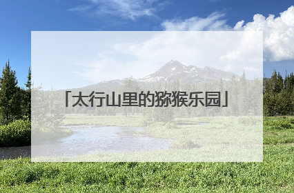 太行山里的猕猴乐园