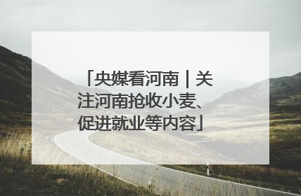 央媒看河南｜关注河南抢收小麦、促进就业等内容
