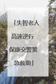 失智老人高速逆行 保康交警紧急救助
