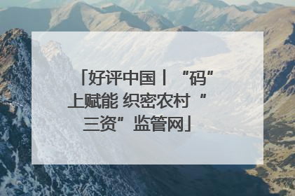 好评中国丨“码”上赋能 织密农村“三资”监管网