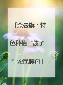 奈曼旗：特色种植“鼓了”农民腰包