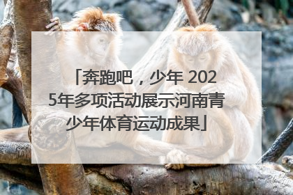 奔跑吧，少年 2025年多项活动展示河南青少年体育运动成果